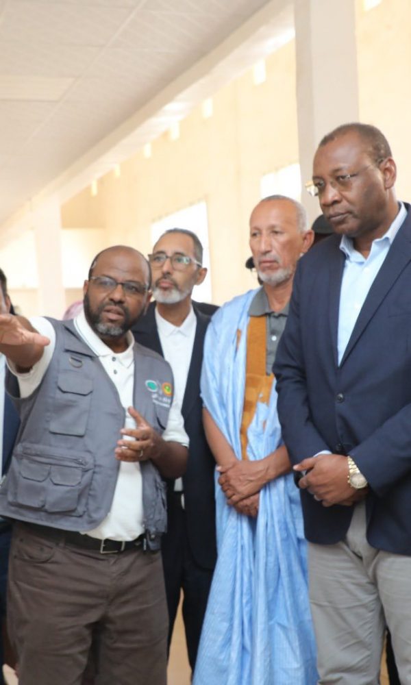 671459566 969338088958928 1266499122859017562 n 600x1000